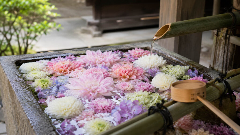 札幌諏訪神社の花手水と季節の参拝風景