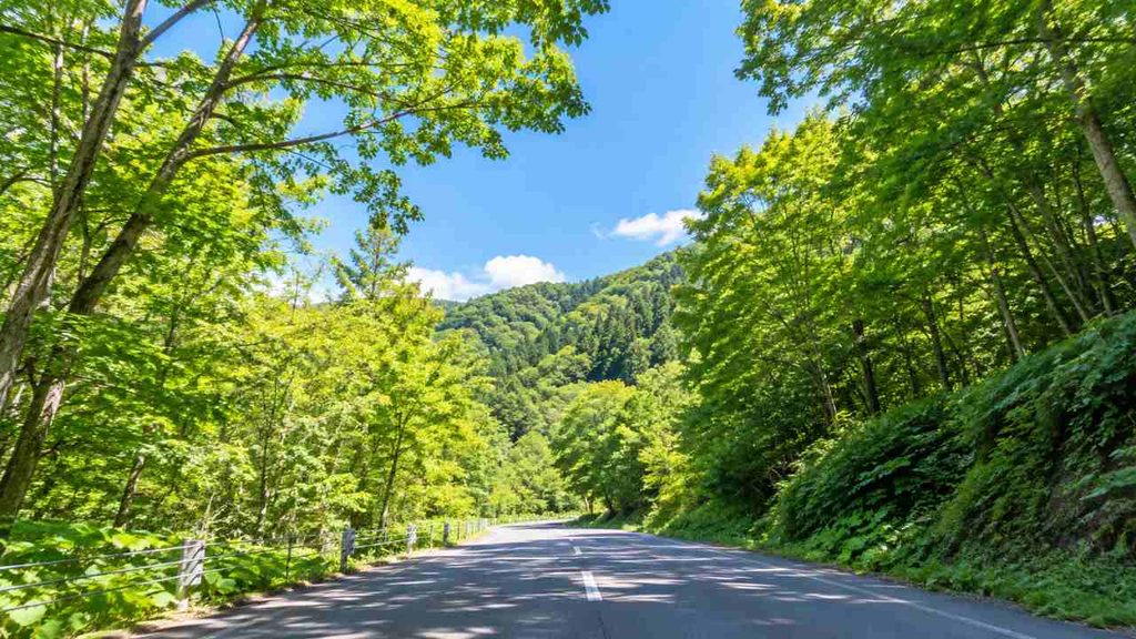 有明の名水へ向かう札幌市清田区有明の道路